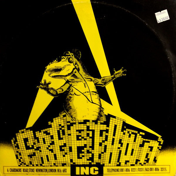 Robert Owens Presents Fayleine Brown : Last Time (12")