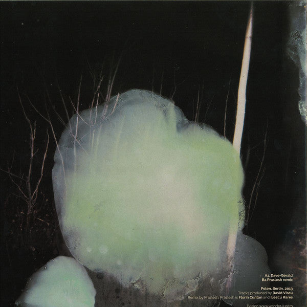 David Viscu : Gerald EP (12", EP)