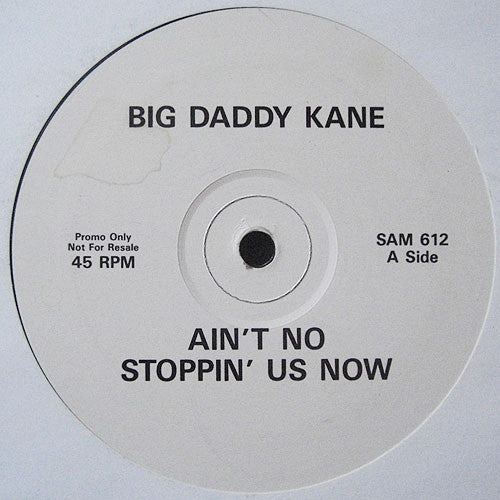 Big Daddy Kane : Ain't No Stoppin' Us Now (12", Promo)