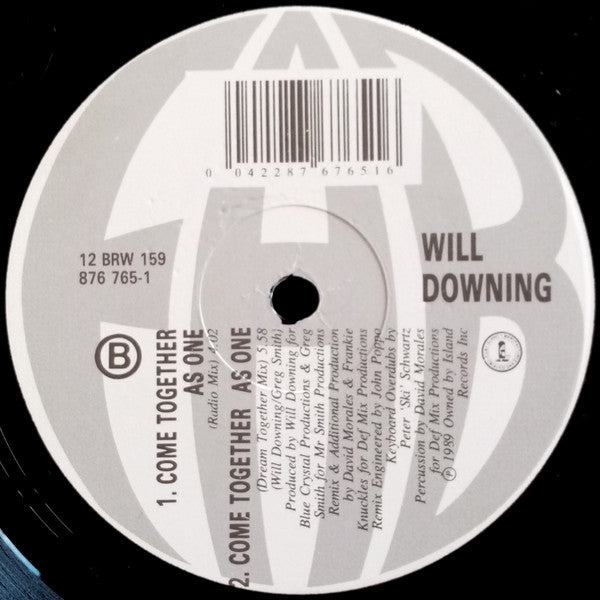 Will Downing : Come Together As One (12", Promo)