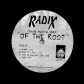 RADIx (3) : Of The Root (12")