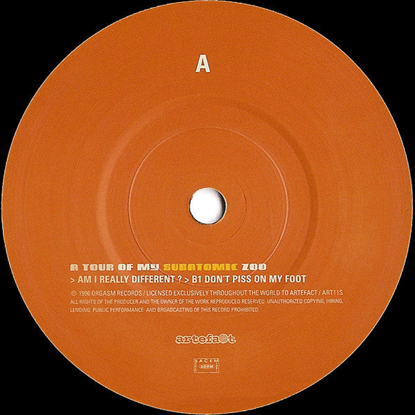 Mr Quark : A Tour Of My Subatomic Zoo (7")