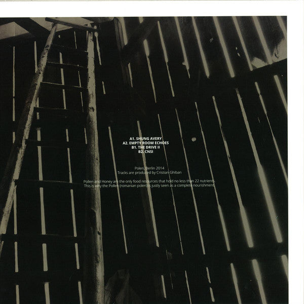 Inner (2) : Shung Avery EP (12", EP)