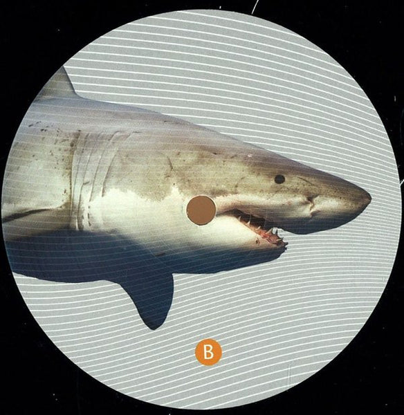 Various : Delayed EP 5 (12", EP)