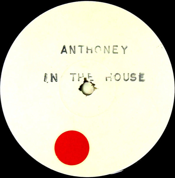 Anthoney : In The House (Danny "Buddah" Morales Mixes) (2x12", W/Lbl)