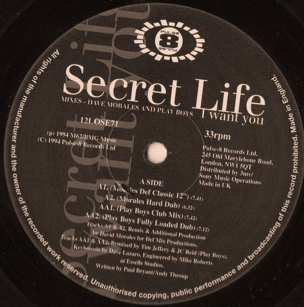Secret Life : I Want You (12", Single)