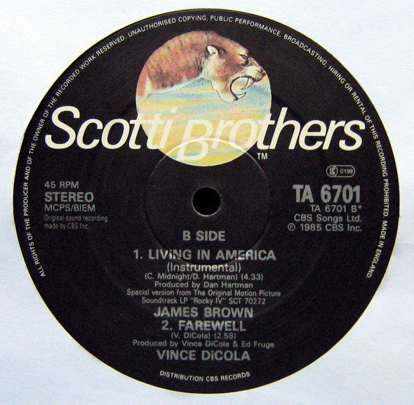 James Brown : Living In America (R 'n' B Extended Mix) (12", Single)