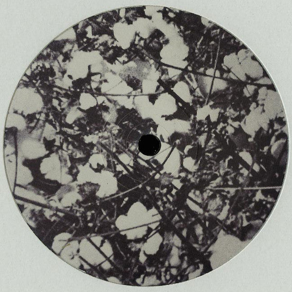 Homework (4) : Conquered Enemies (12", EP)