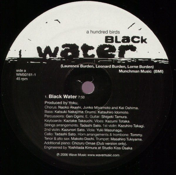 A Hundred Birds : Black Water (12")