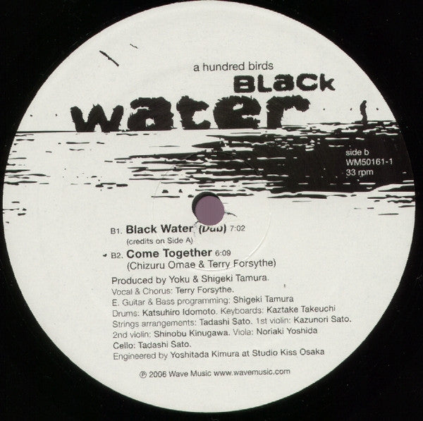 A Hundred Birds : Black Water (12")