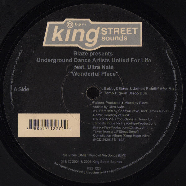 Blaze Presents Underground Dance Artists United For Life Feat. Ultra Naté : Wonderful Place (12")
