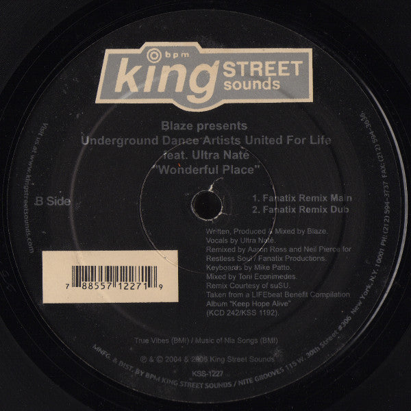 Blaze Presents Underground Dance Artists United For Life Feat. Ultra Naté : Wonderful Place (12")