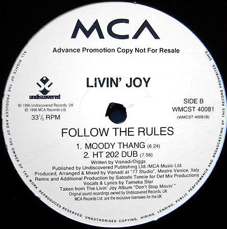 Livin' Joy : Follow The Rules (Exclusive Mixes From Visnadi & Satoshi Tomiie) (2x12", Promo)
