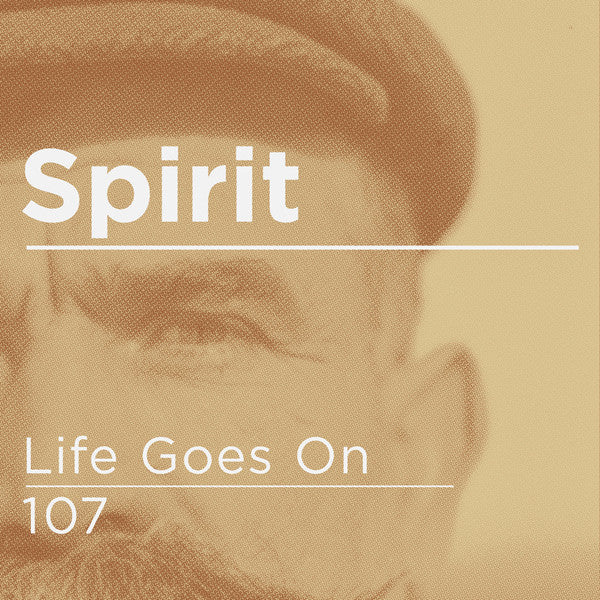 Spirit : Life Goes On / 107 (12")