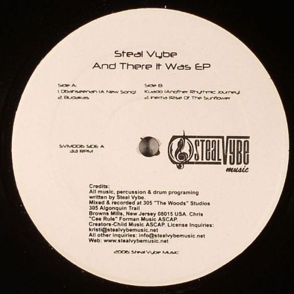 Steal Vybe : And There It Was EP (12", EP)