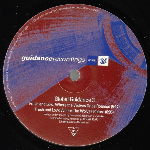 Various : Global Guidance 3 (12")
