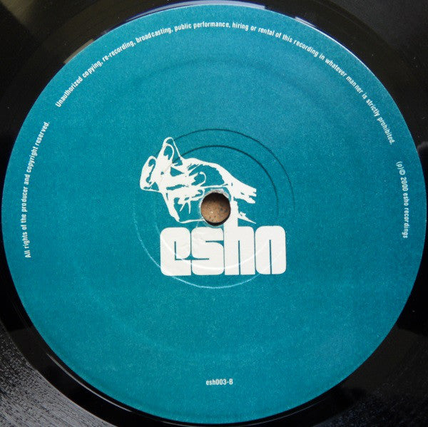 Dave Warrin : Shine On (12")