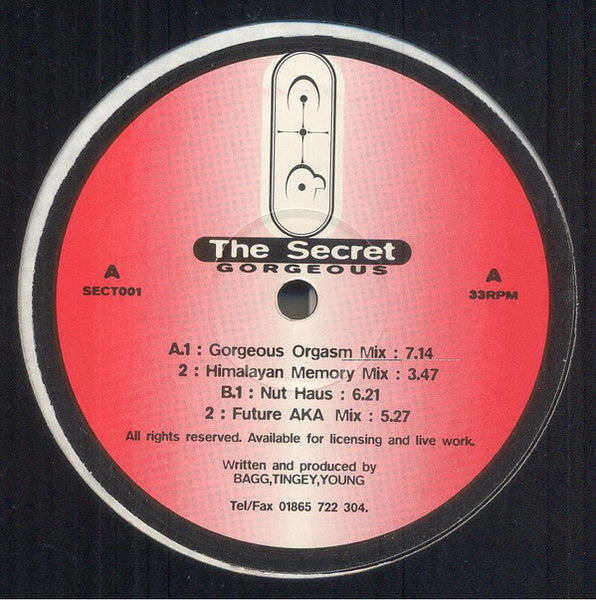The Secret : Gorgeous (12")