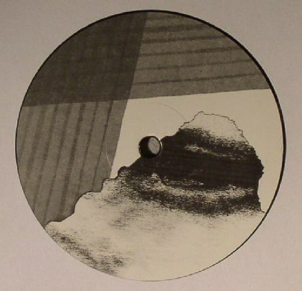 Avalon Emerson : Shtum 009 (12")