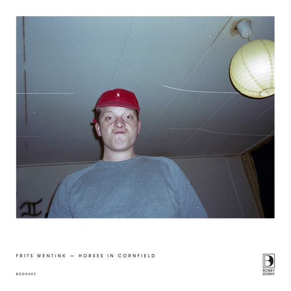 Frits Wentink : Horses In Cornfield (12", EP)