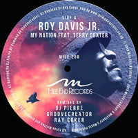 Roy Davis Jr. Feat. Terry Dexter : My Nation (12")