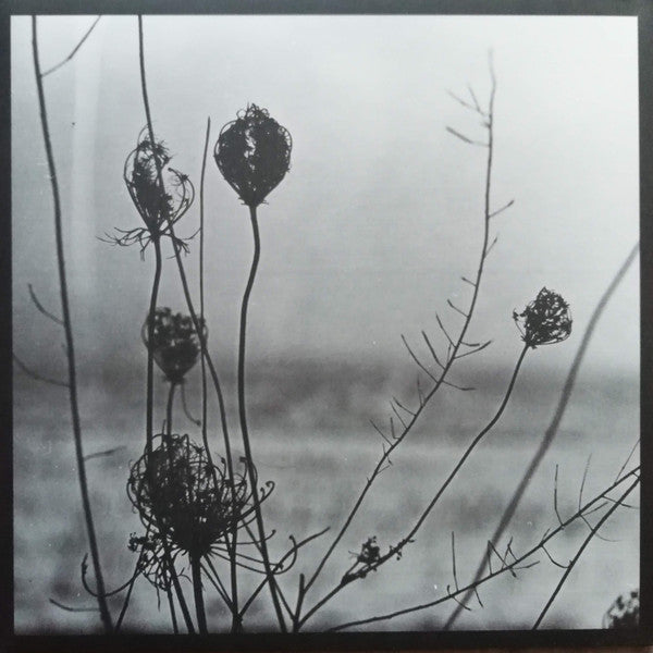 Recondite : Placid (2xLP, Album)