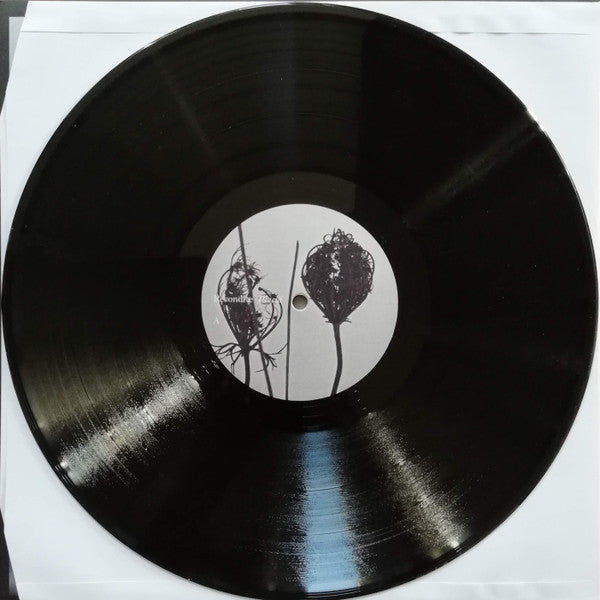 Recondite : Placid (2xLP, Album)