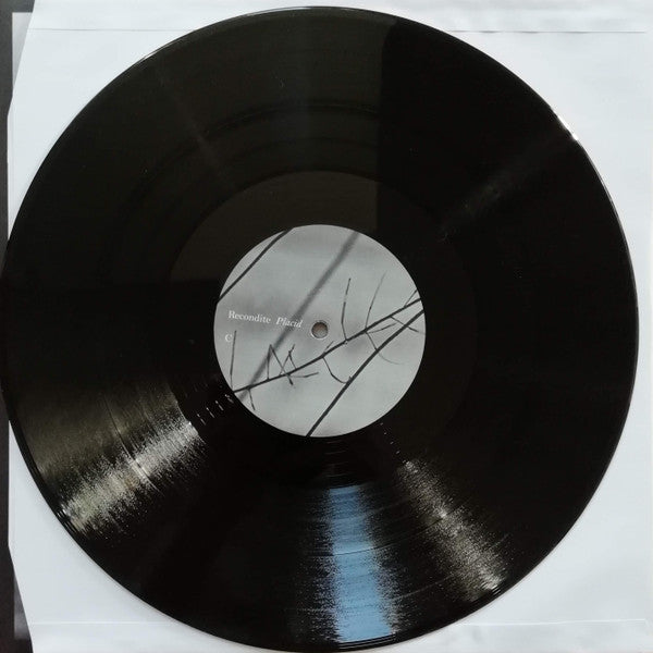 Recondite : Placid (2xLP, Album)