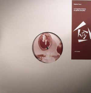 Rhythmic Theory : Forgotten Realms (12")