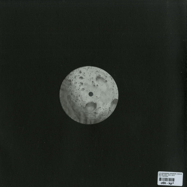 Various : Skylab (12", Ltd)