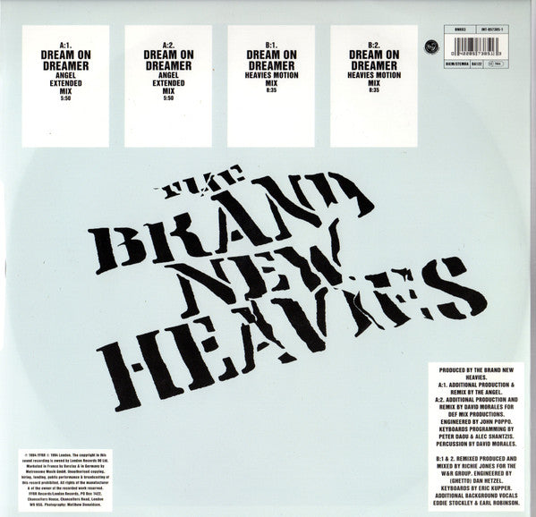 The Brand New Heavies : Dream On Dreamer (12")