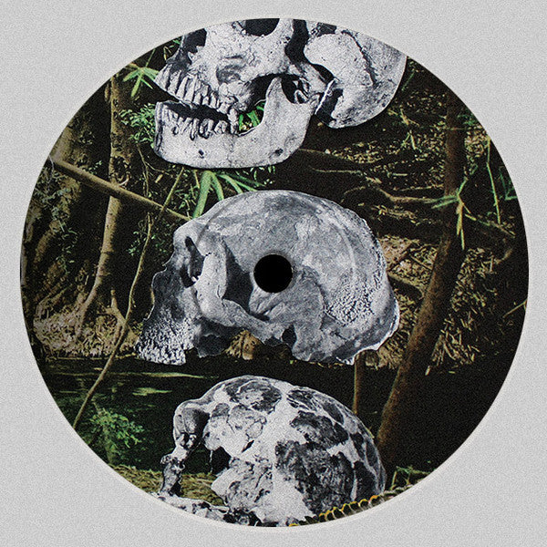 Personal Mythologies : Los Dinosaurios (12", EP)
