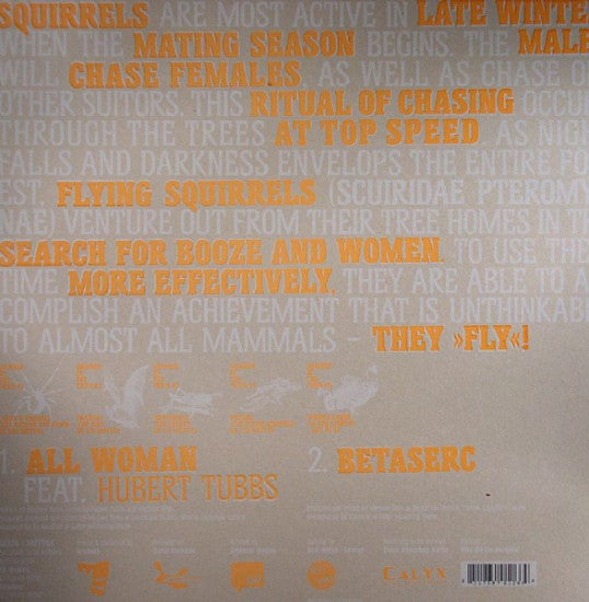 Skwerl : The Flying Squirrel (12")
