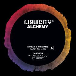 Various : Alchemy Sampler (12", EP, Smplr)