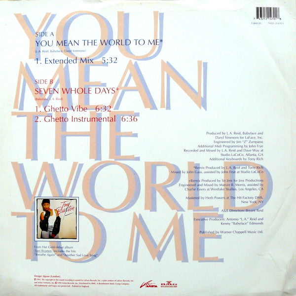 Toni Braxton : You Mean The World To Me (12")