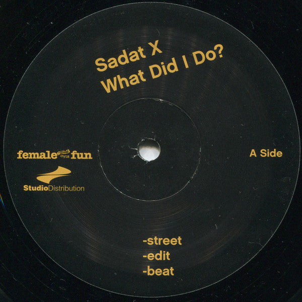 Sadat X : What Did I Do? / The Great Diamond D (12")