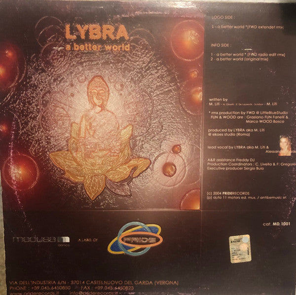 Lybra (2) : A Better World (12")