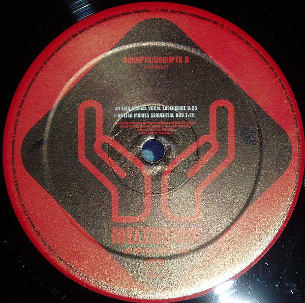 Meltdown : My Life Is In Your Hands (12", Promo)
