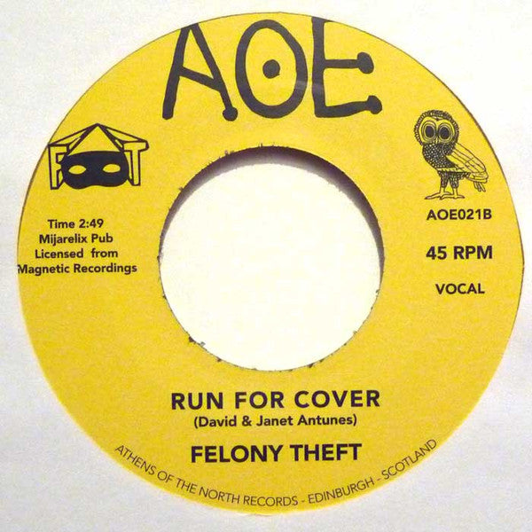 Felony Theft : When You Have Love / Run For Cover (7")