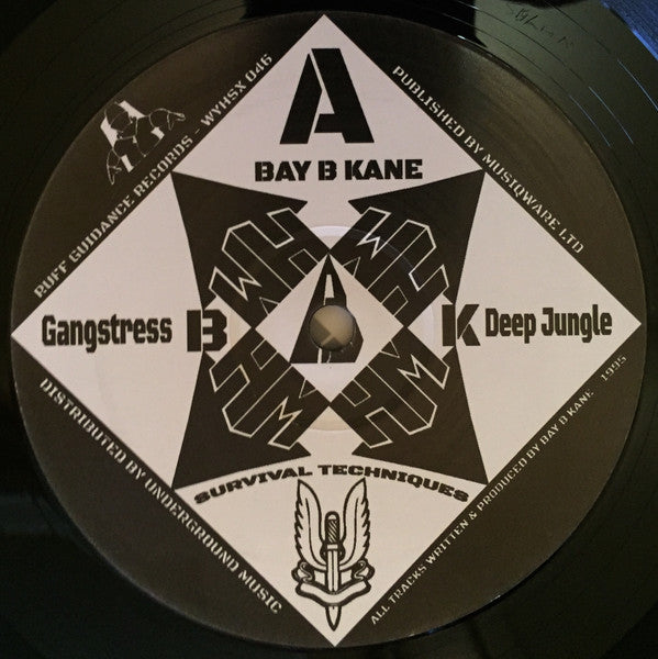 Bay B Kane : Survival Techniques Vol. 1 (2x12", RE)