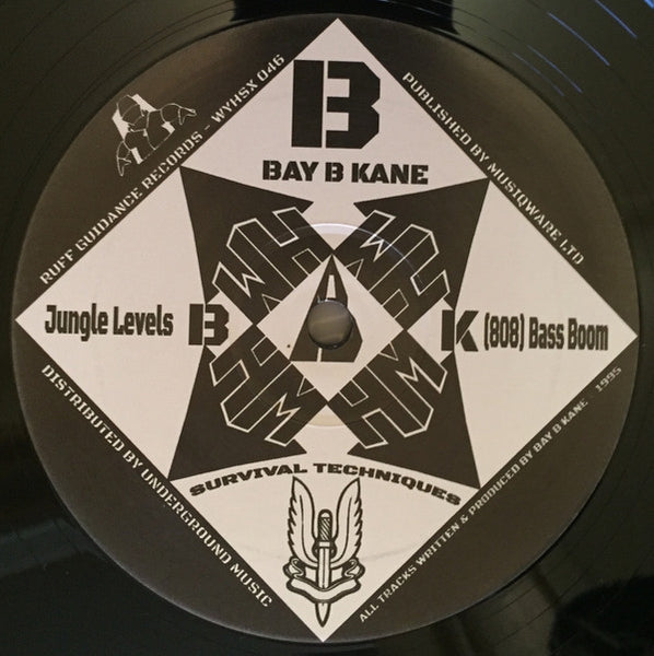 Bay B Kane : Survival Techniques Vol. 1 (2x12", RE)