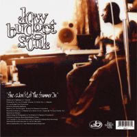 Low Budget Soul : She Won't Let The Summer In (12")