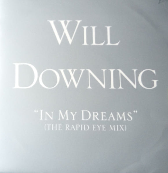 Will Downing : In My Dreams (12", Single)