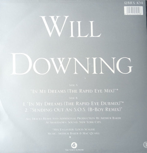 Will Downing : In My Dreams (12", Single)