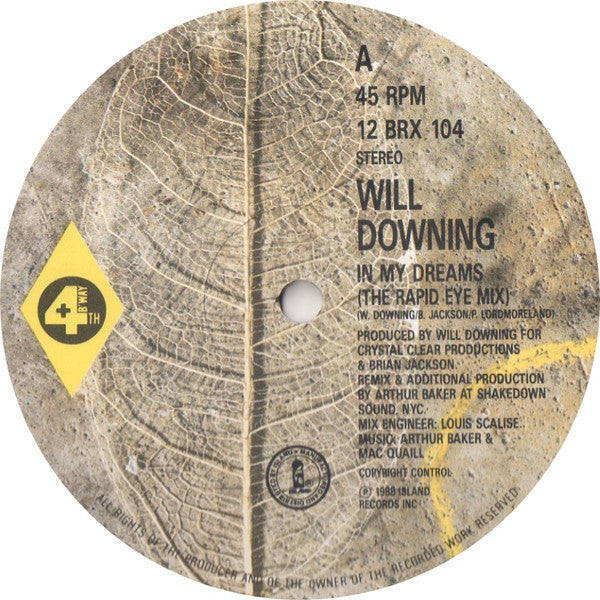 Will Downing : In My Dreams (12", Single)