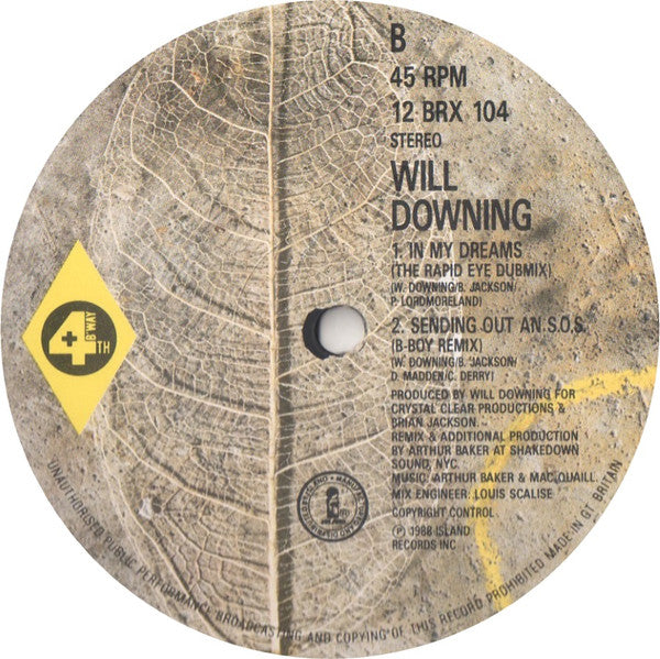 Will Downing : In My Dreams (12", Single)