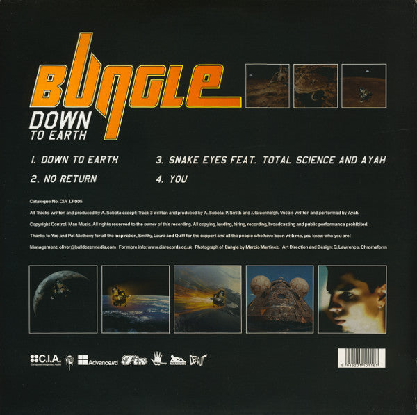 Bungle : Down To Earth (2x12")