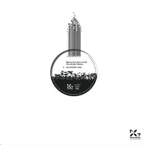 Madmud Feat. Rezan And BC (3) : Discustingly Fabulous (12")