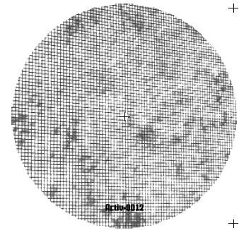 Q-Bik (4), Quench Inclusion : QBiK vs. Quench Inclusion (12", EP, Ltd)