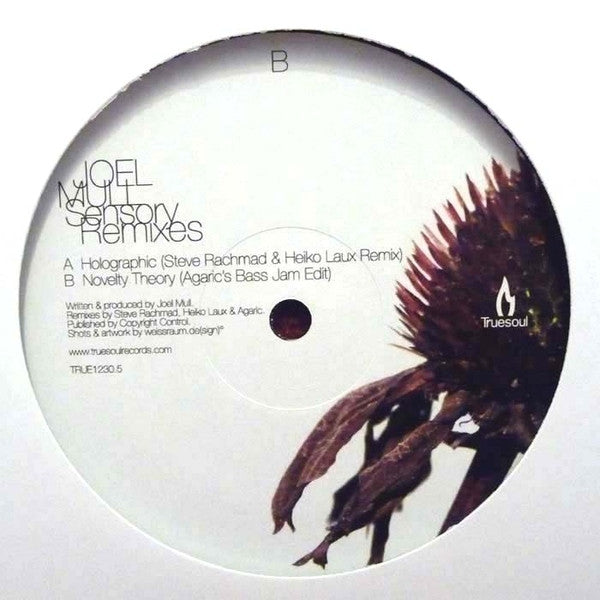 Joel Mull : Sensory Remixes (12")